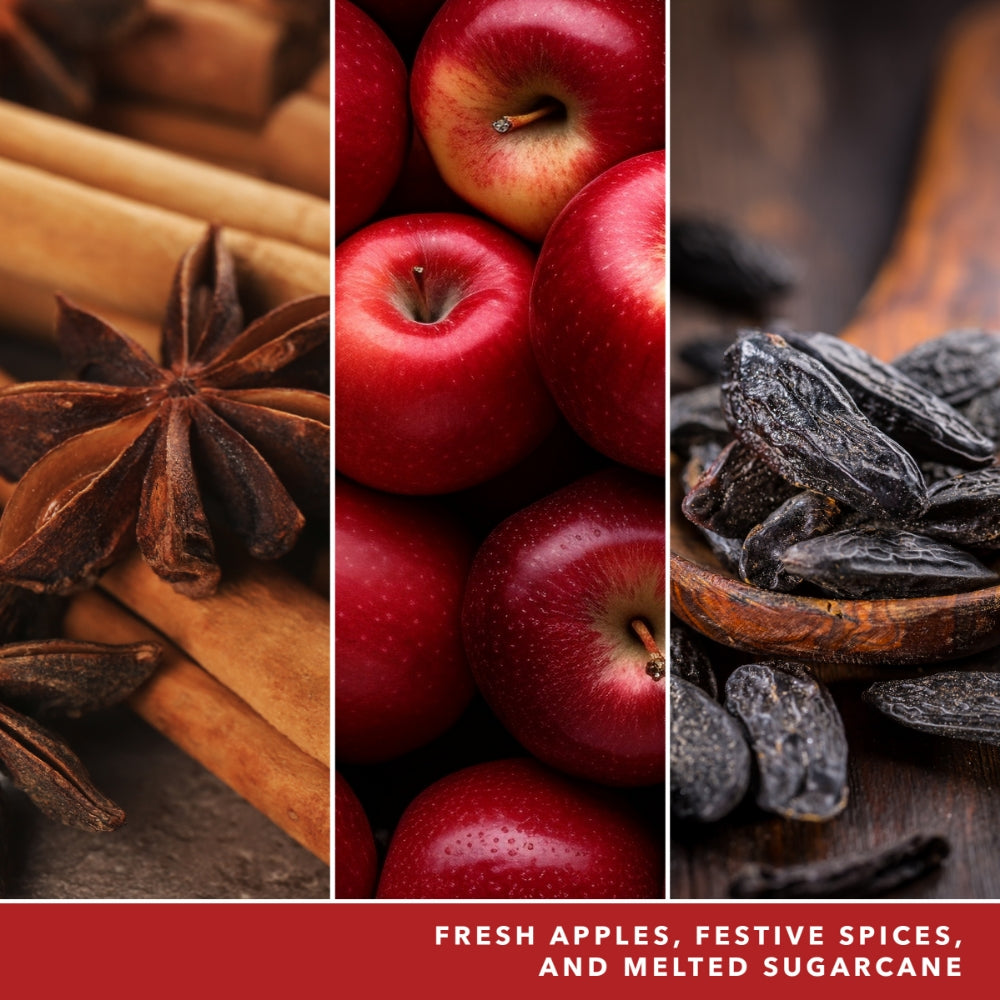 Yankee Candle Big Apple Christmas Medium Signature Jar Candle