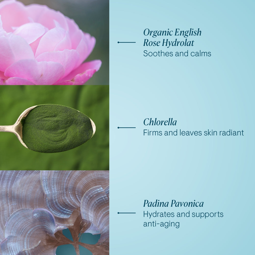 Elemis Pro-Collagen Rose Hydrating Cleansing Balm 100g