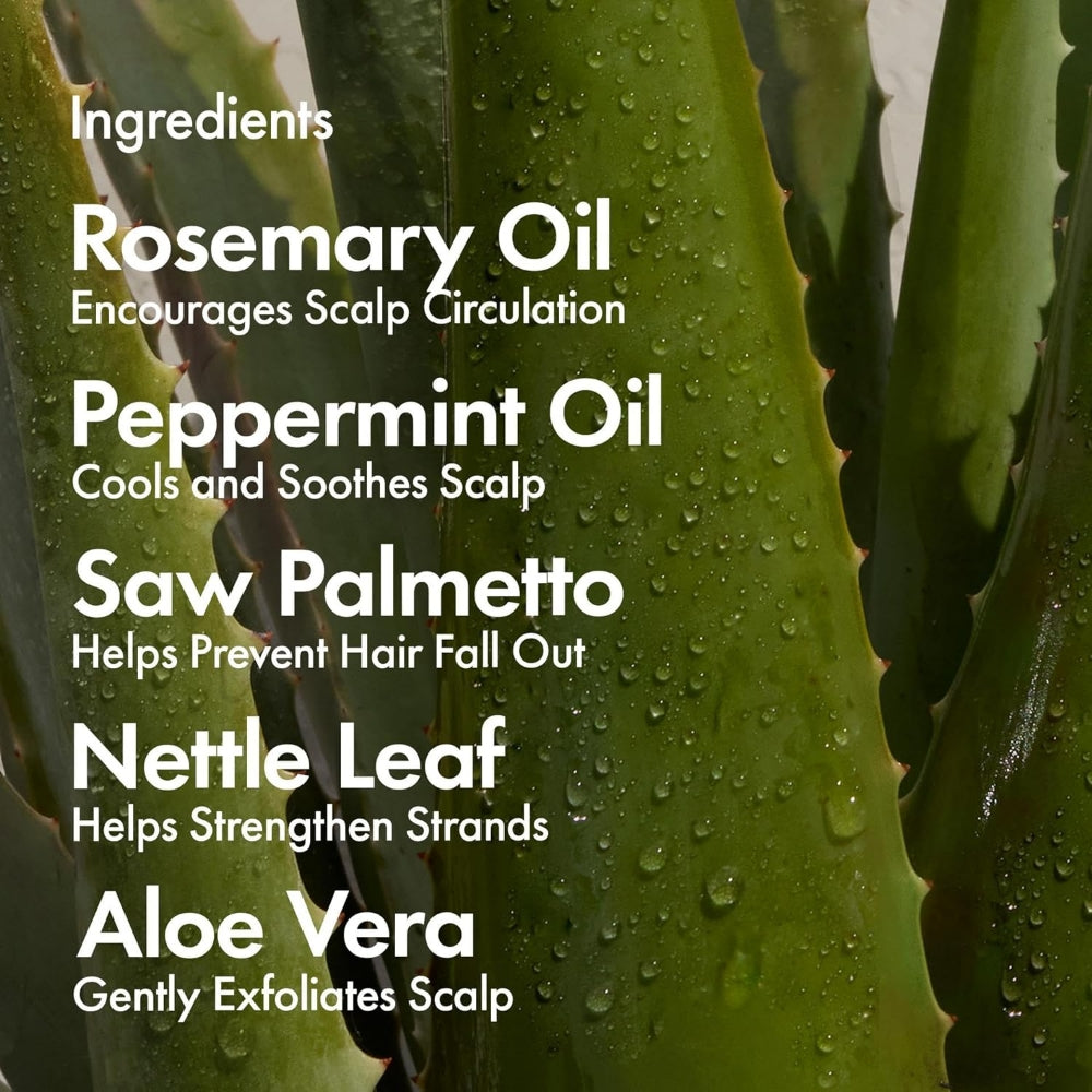 BondiBoost HG Shampoo 300ml