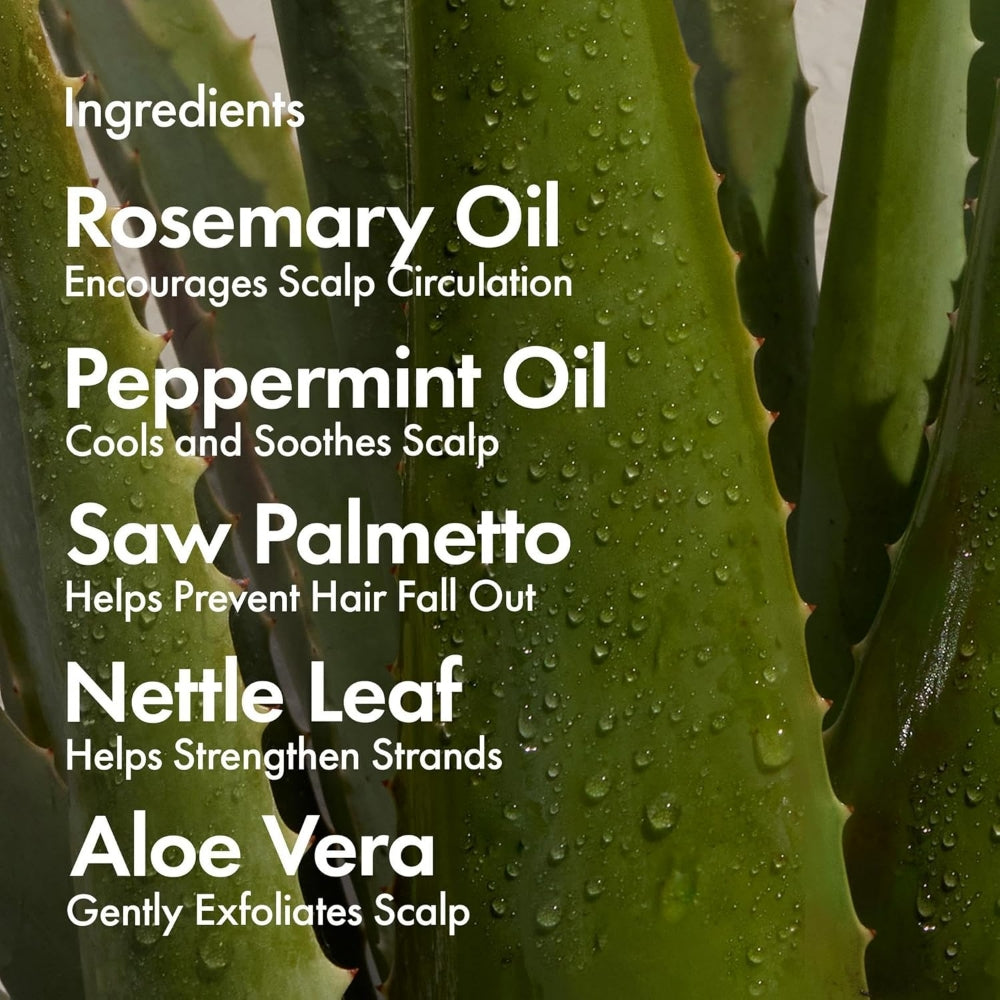 BondiBoost Miracle Hair Mask 250ml