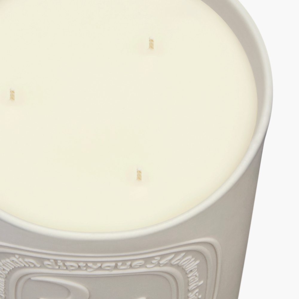 Diptyque 34 Boulevard Saint Germain Large Jar Candle 600g