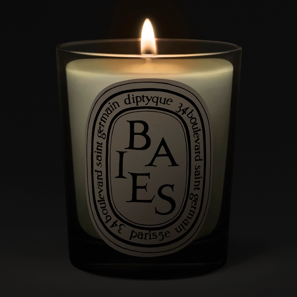 Diptyque Baies Classic Jar Candle 190g