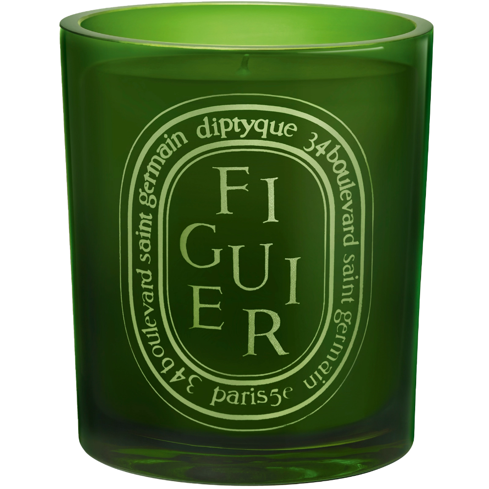 Diptyque Figuier Green Medium Jar Candle 300g