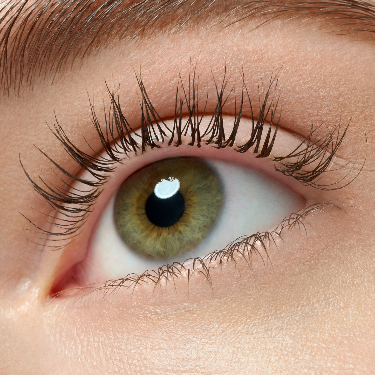 Essence Lash Princess False Lash Effect Mascara Black/Brown 12ml