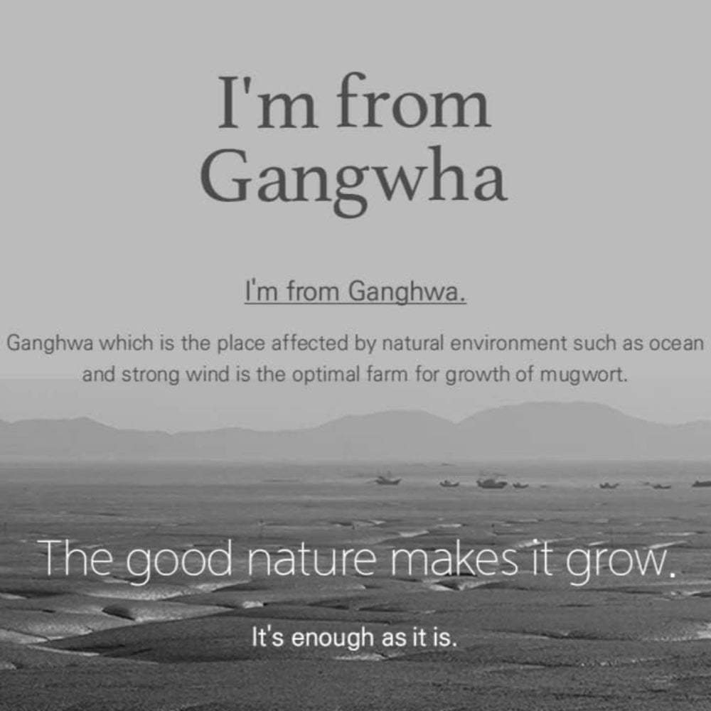 I'm From Mugwort Mask 110g