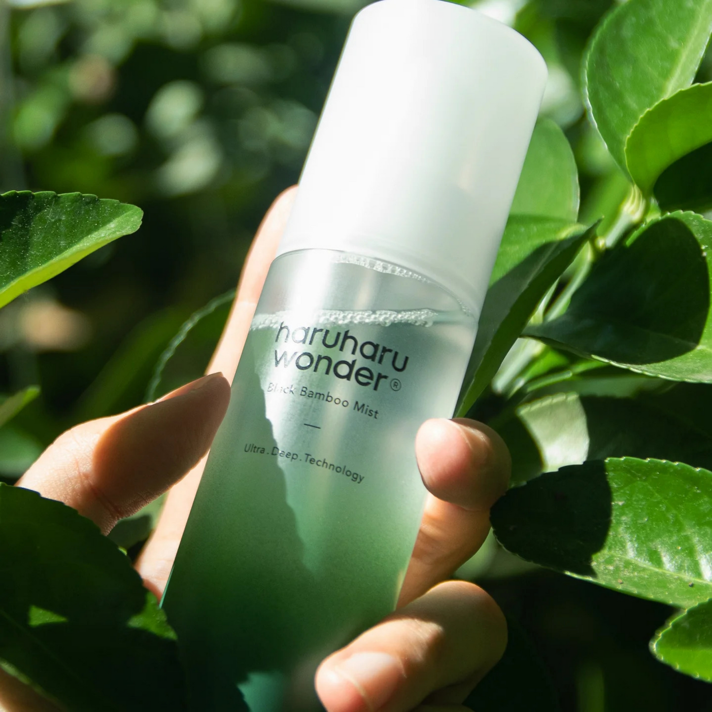 Haruharu Wonder Black Bamboo Mist 150ml