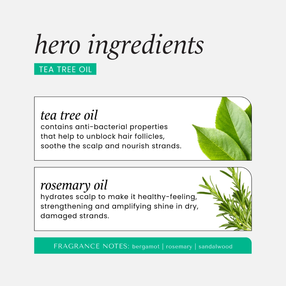 Hask Tea Tree Oil Invigorating Shampoo 355ml