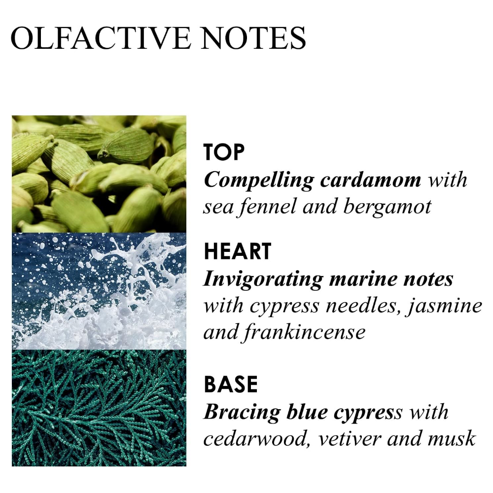 Molton Brown Coastal Cypress & Sea Fennel Body Lotion 300ml