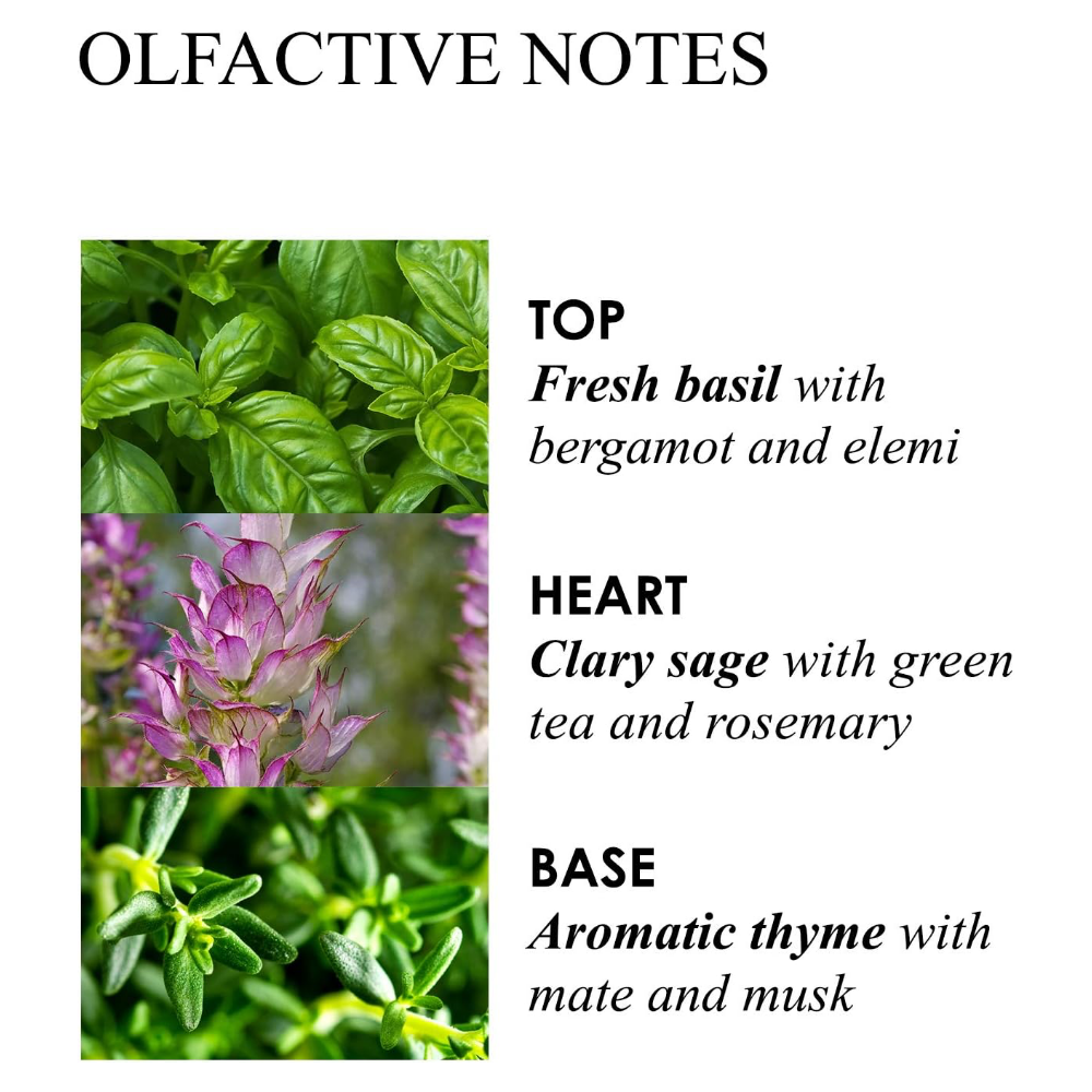 Molton Brown Refined White Mulberry Hand Lotion 300ml