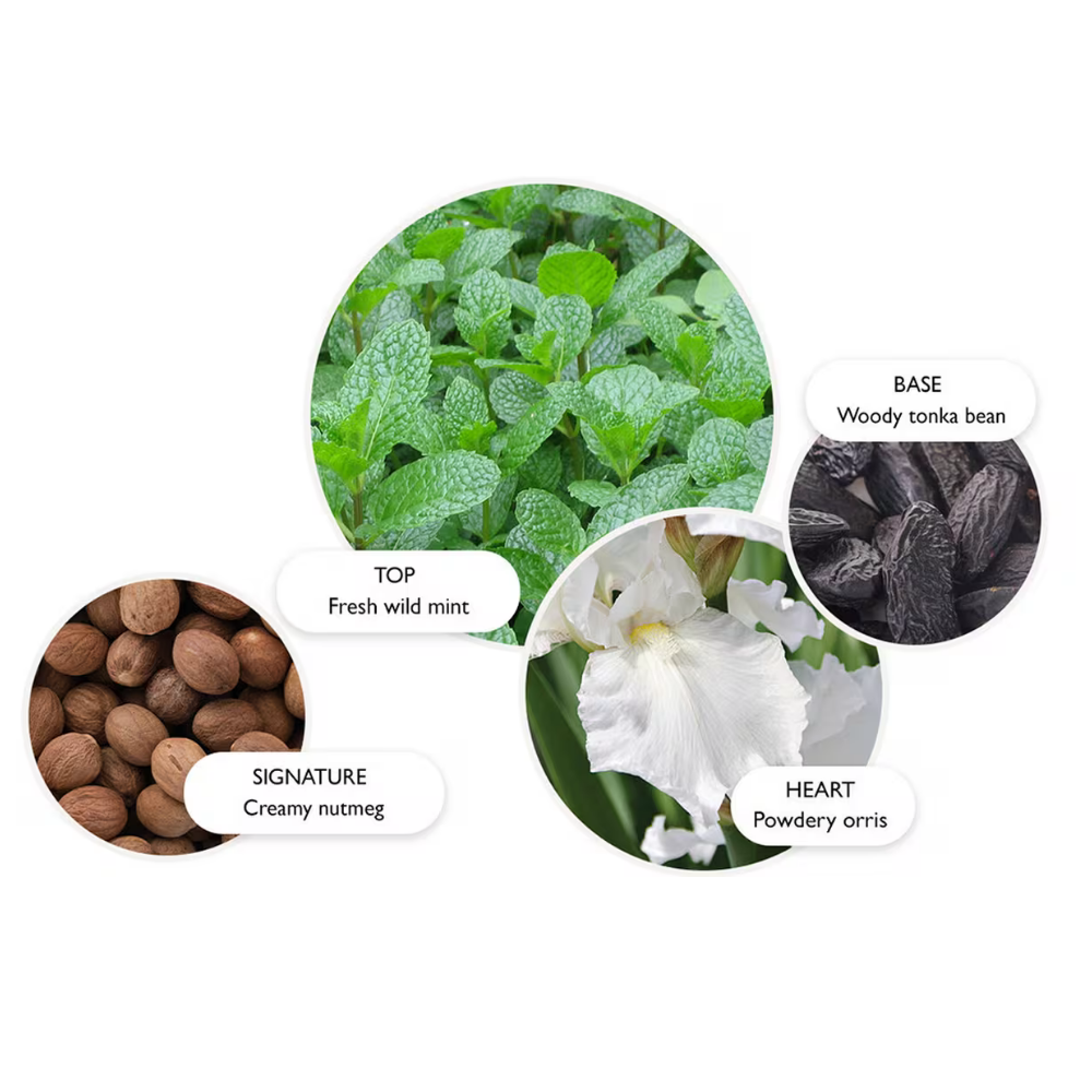 Molton Brown Wild Mint & Lavandin Eau De Parfum 100ml