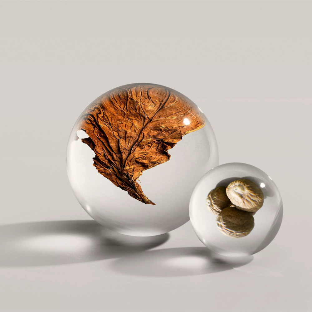 Molton Brown Tobacco Absolute Eau De Parfum 100ml