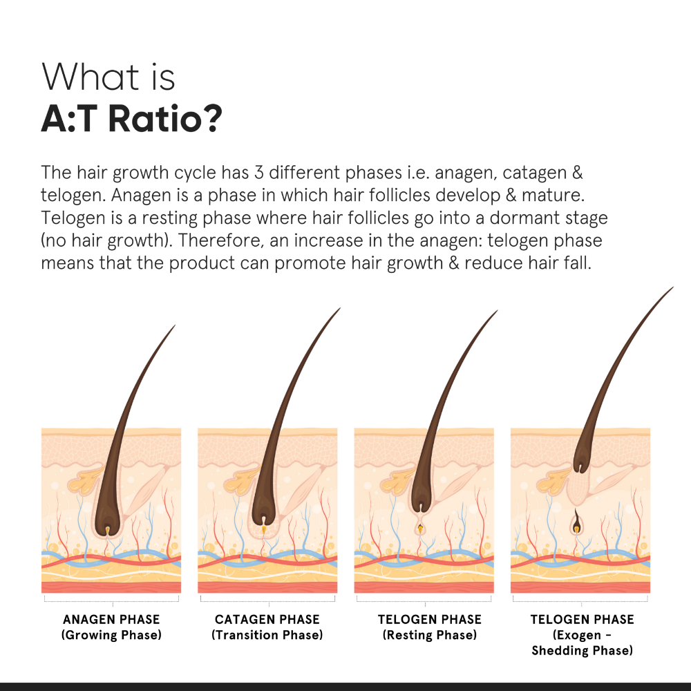 Minimalist Hair Density Hair Serum 18% 30ml