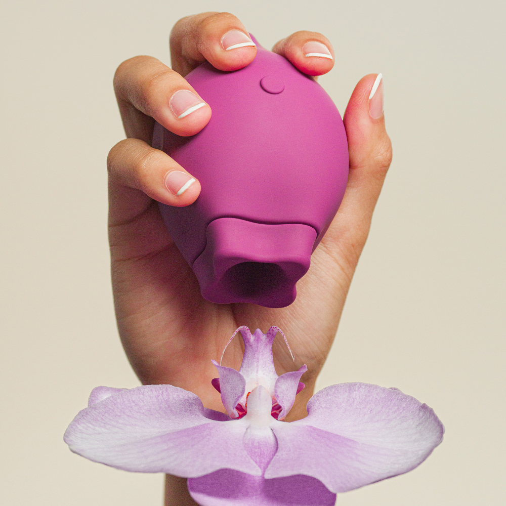 Smile Makers The Poet Clitoral Suction Vibrator