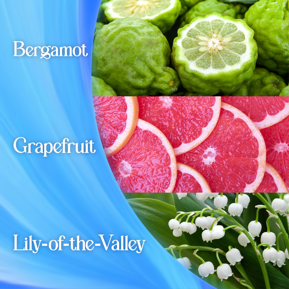 Surf Magnifi-Scent Wash Aqua Bliss Liquid Laundry Washing Detergent 31 Washes 837ml