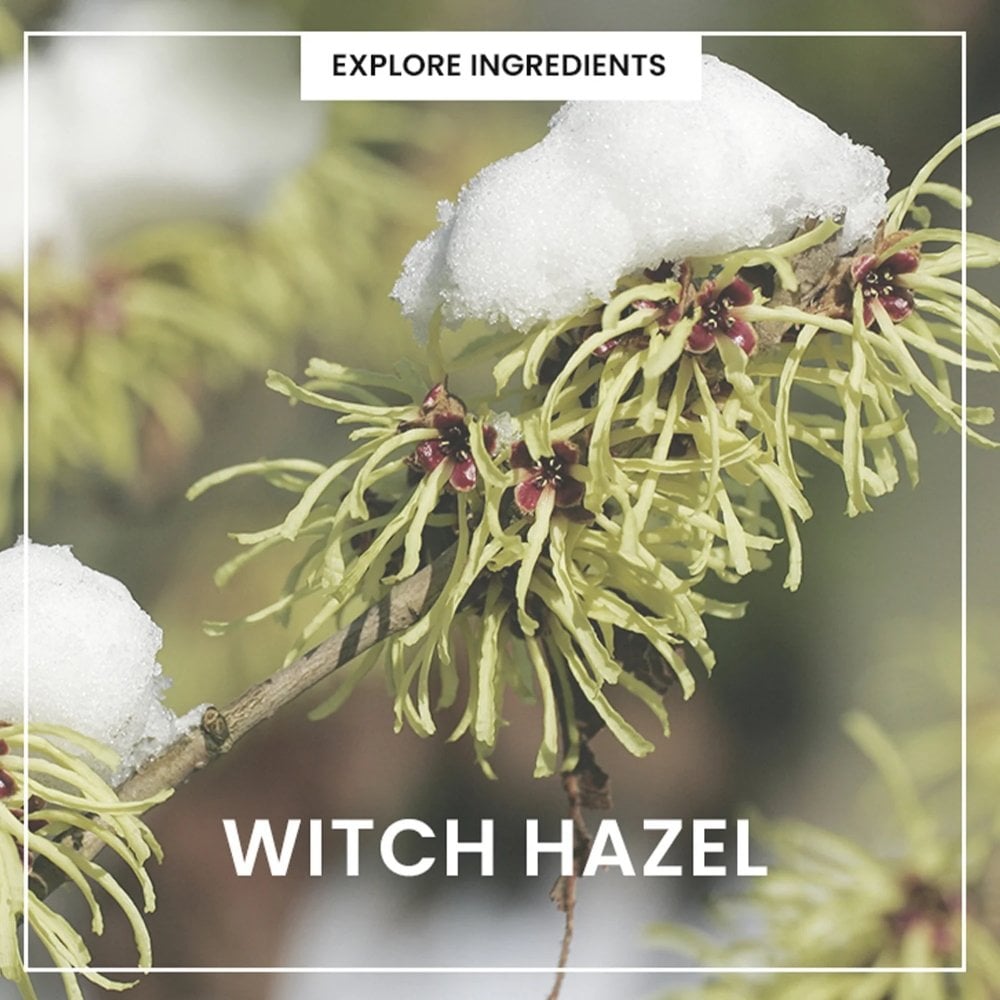 Heimish All Clean Green pH Balancing Facial Cleanser Foam 150g