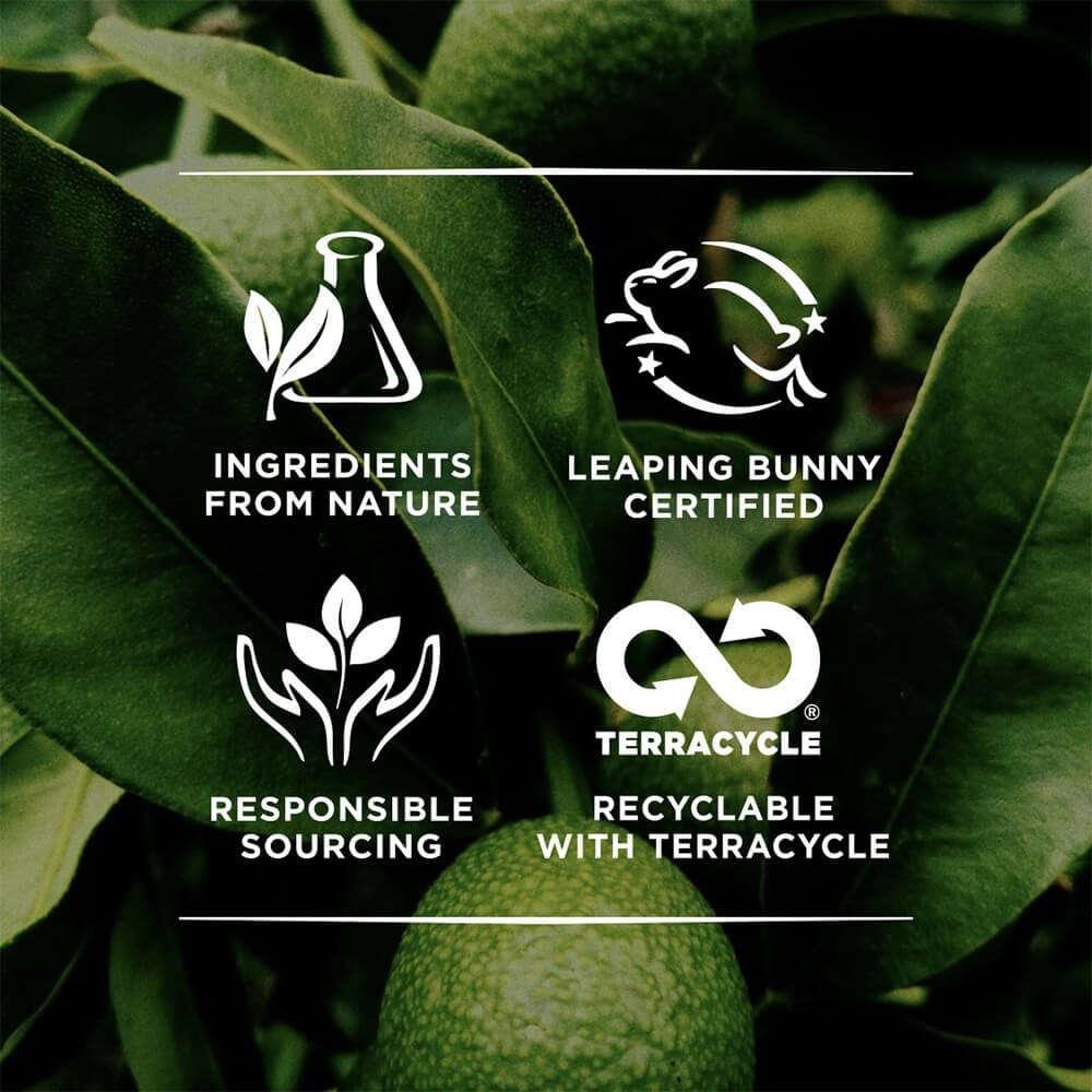 Burt's Bees Conditioning Lip Scrub 7.08g