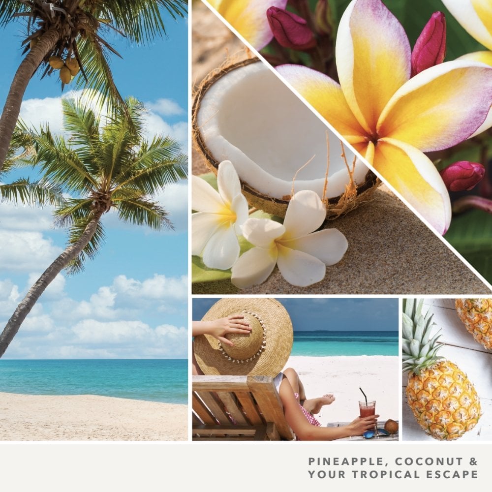 Yankee Candle Clean Cotton Medium Signature Jar Candle