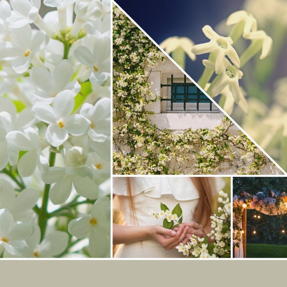 Yankee Candle Midnight Jasmine Large Signature Jar Candle