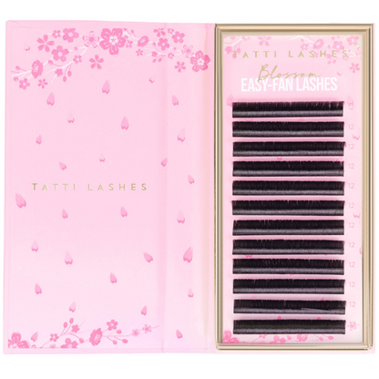 Tatti Lashes 12mm C Curl 0.05 Blossom Easy-Fan Individual Lashes Black