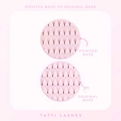 Tatti Lashes 12mm D Curl Pre-Fanned Russian Volume 6D Individual Lashes Black