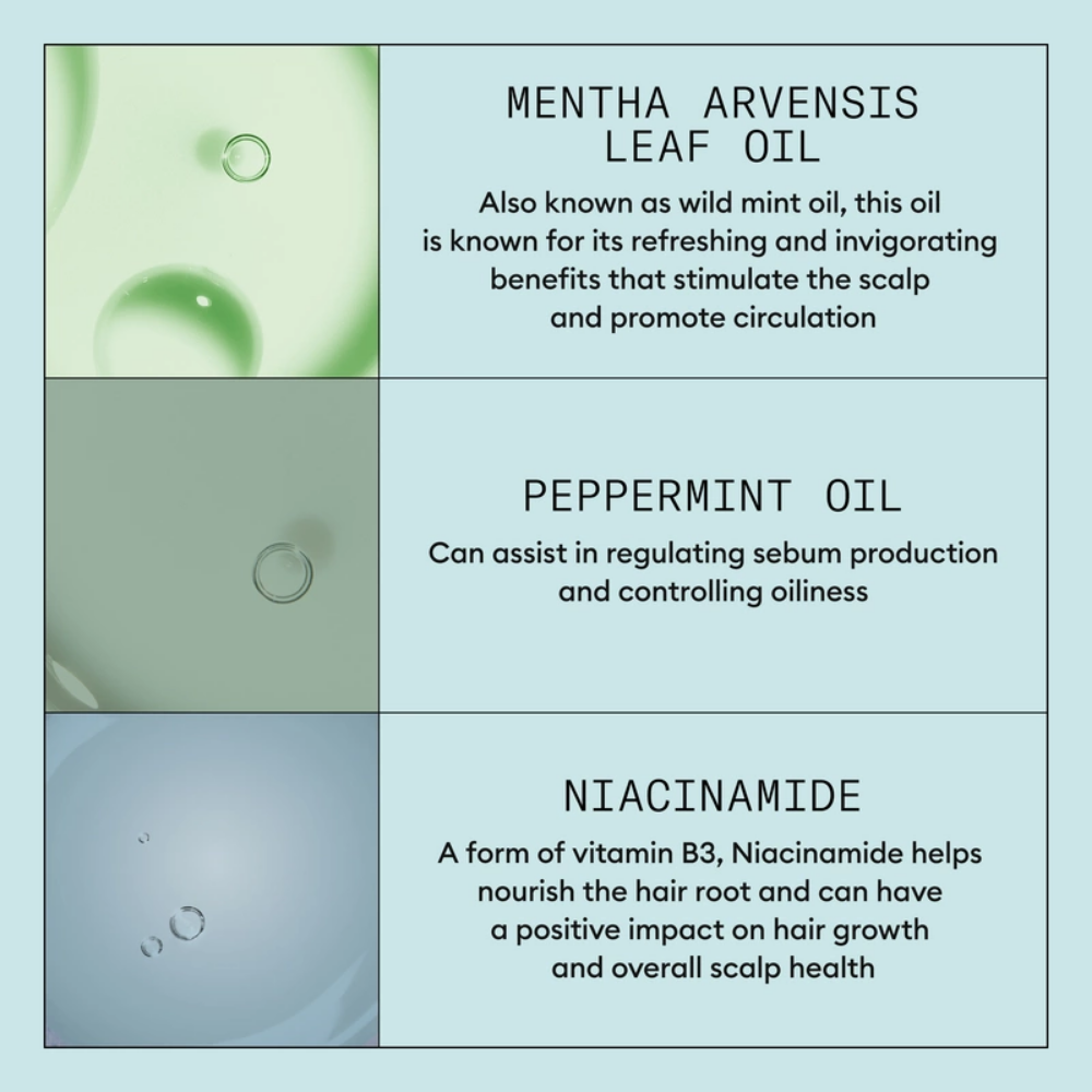 Nioxin Scalp Recovery Anti-Dandruff 3-Step System Kit