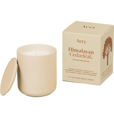 Aery Himalayan Cedarleaf Scented Clay Jar Candle 280g
