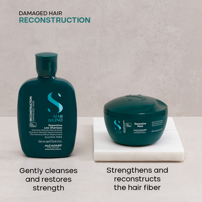 Alfaparf Milano Semi Di Lino Reconstruction Reparative Duo Kit