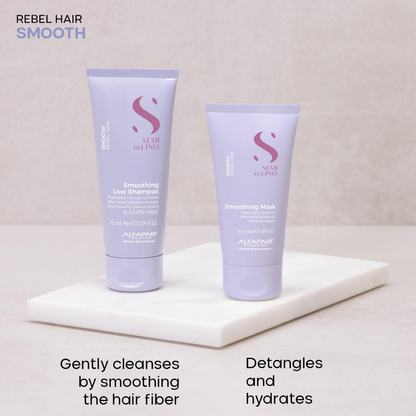 Alfaparf Milano Semi Di Lino Smooth Mini Kit