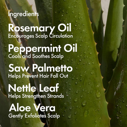 BondiBoost HG Shampoo 300ml