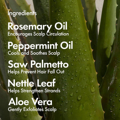 BondiBoost Miracle Hair Mask 250ml