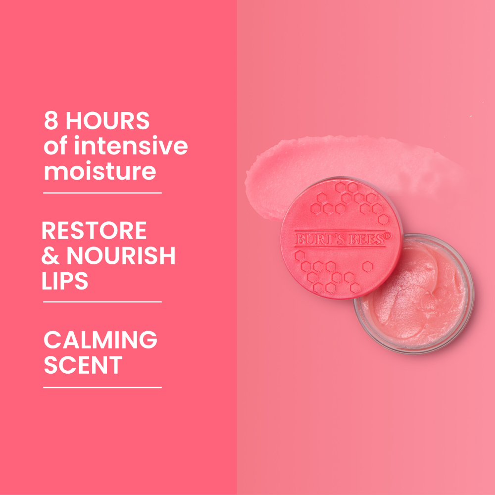 Burt's Bees Overnight Passionfruit & Chamomile Lip Treatment 7g