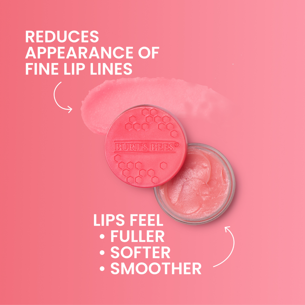 Burt's Bees Overnight Passionfruit & Chamomile Lip Treatment 7g