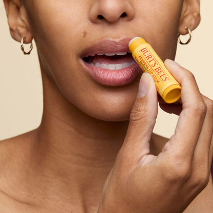 Burt's Bees Limited Edition Fruit Mix Lip Balm Gift Set 4 x 4.25g