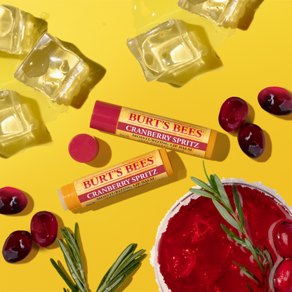 Burt's Bees Limited Edition Festive Fix Lip Balm Gift Set 4 x 4.25g
