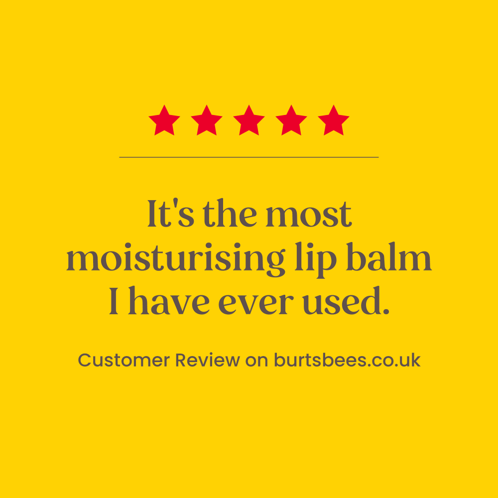 Burt's Bees Limited Edition Festive Fix Lip Balm Gift Set 4 x 4.25g