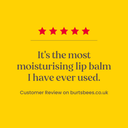 Burt's Bees Limited Edition Festive Fix Lip Balm Gift Set 4 x 4.25g