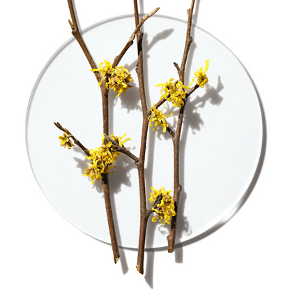 Clinique Clarifying Lotion Twice A Day Exfoliator Type 4 for Very Oily Skin 400ml