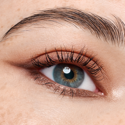 Catrice Cosmetics The Dark Cocoa 8 Colour Eyeshadow Palette