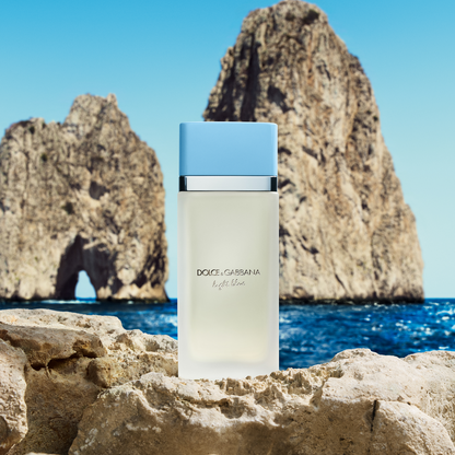 Dolce & Gabbana Light Blue Eau De Toilette 100ml