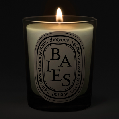 Diptyque Baies Classic Jar Candle 190g