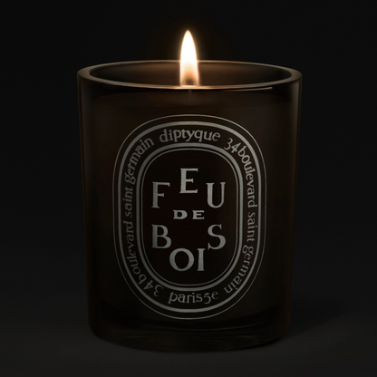 Diptyque Feu de Bois Medium Jar Candle 300g
