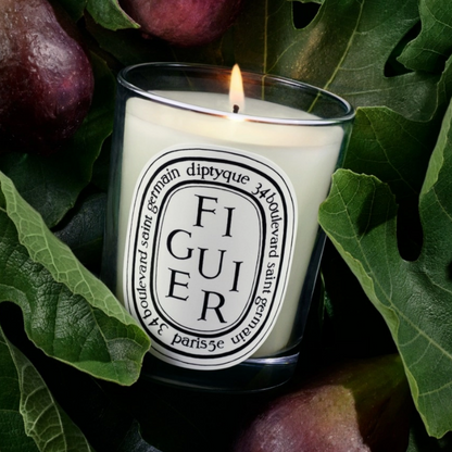 Diptyque Figuier Small Jar Candle 70g