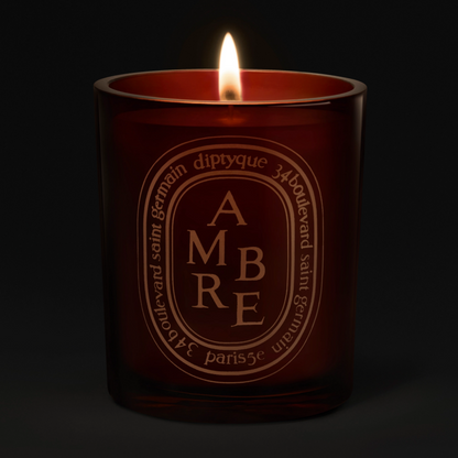 Diptyque Ambre Medium Jar Candle 300g