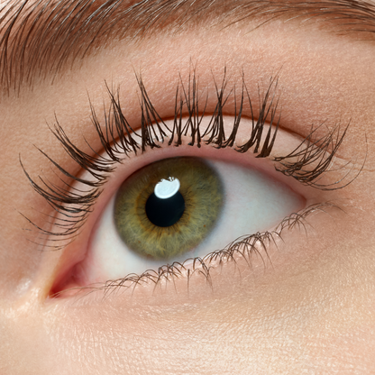 Essence Lash Princess False Lash Effect Mascara Black/Brown 12ml