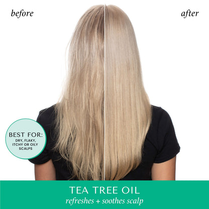 Hask Tea Tree Oil Invigorating Shampoo 355ml