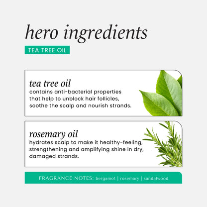 Hask Tea Tree Oil Invigorating Shampoo 355ml