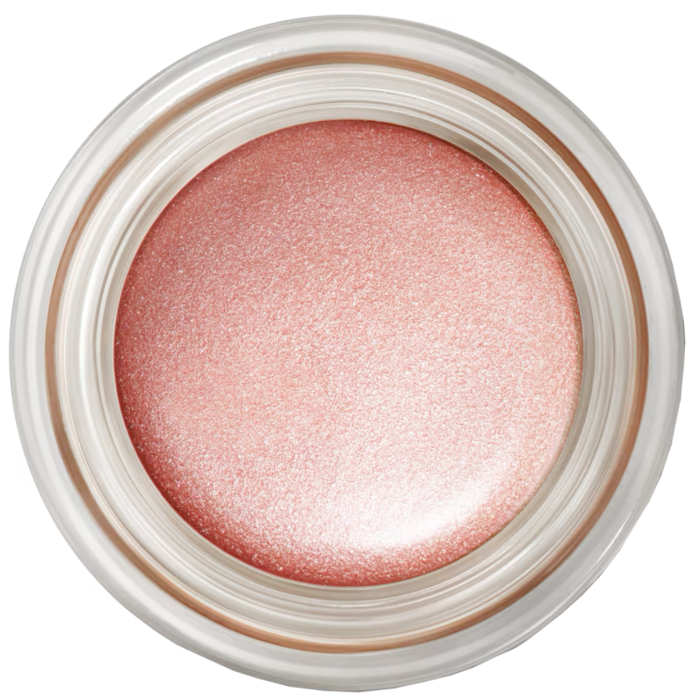 MAC Pro Longwear Paint Pot 5g