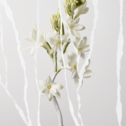 Maison Margiela Mutiny Eau De Parfum 90ml