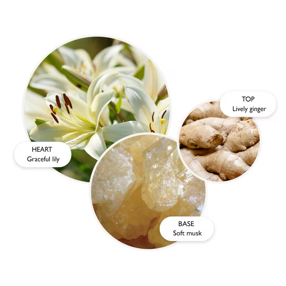 Molton Brown Heavenly Gingerlily Body Lotion 300ml