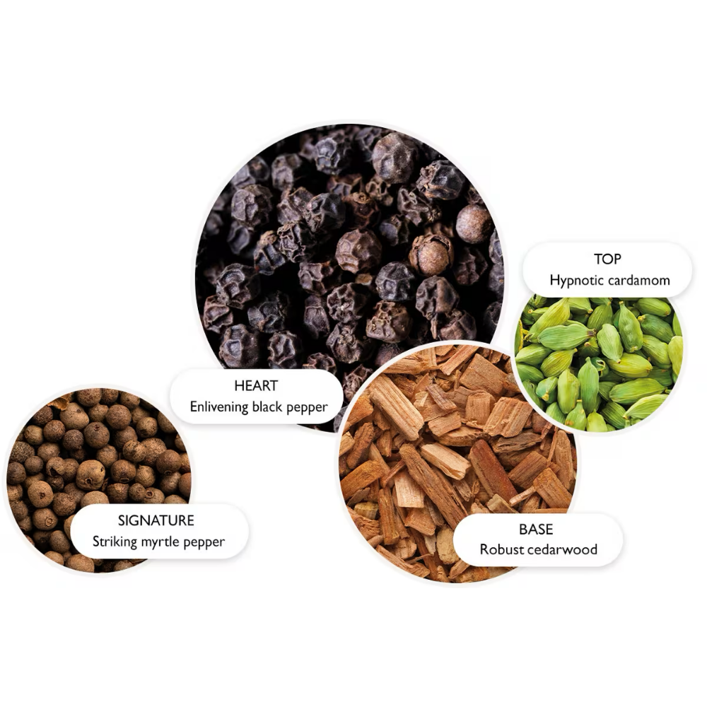 Molton Brown Re-charge Black Pepper Eau De Parfum 100ml